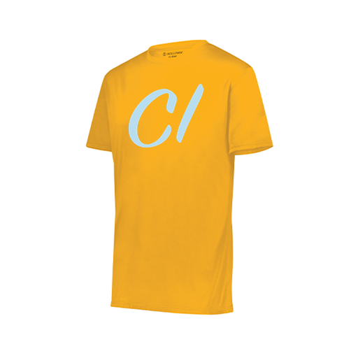 [222818.025.S-LOGO3] Men's Movement Dri Fit Shirt (Adult S, Athletic Gold, Logo 3)